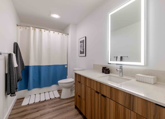 a bathroom with a sink and a toilet and a mirror
