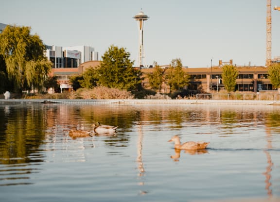 South Lake Union View of the Space Needle  at Dexter Lake Union, Seattle, 98109