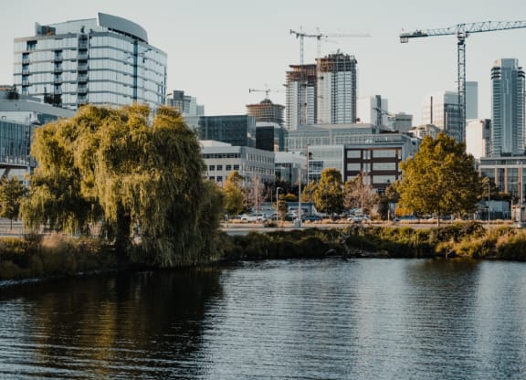 South Lake Union Views  at Dexter Lake Union, Seattle, WA, 98109