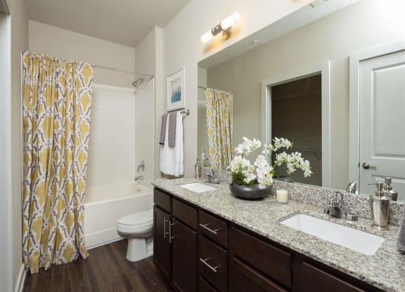 a bathroom with a sink and a mirror and a toilet