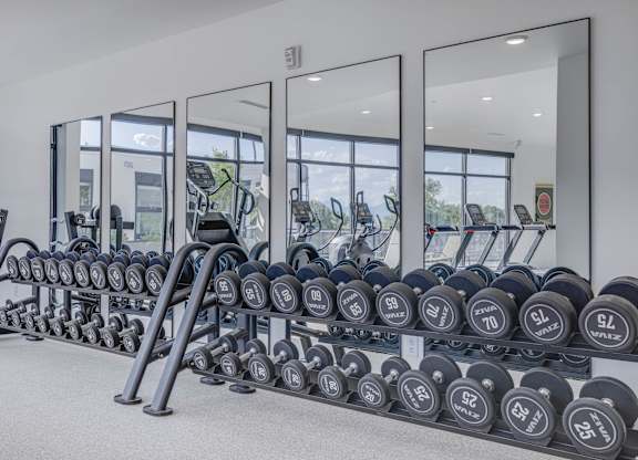 A gym with a row of dumbbells and a mirrored wall.