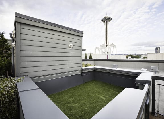 Rooftop grass area at Axis, Seattle, WA