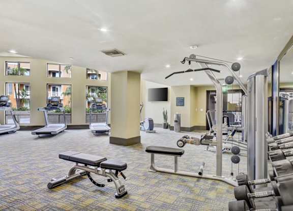 A gym with a variety of equipment including treadmills, weights, and a bench press.