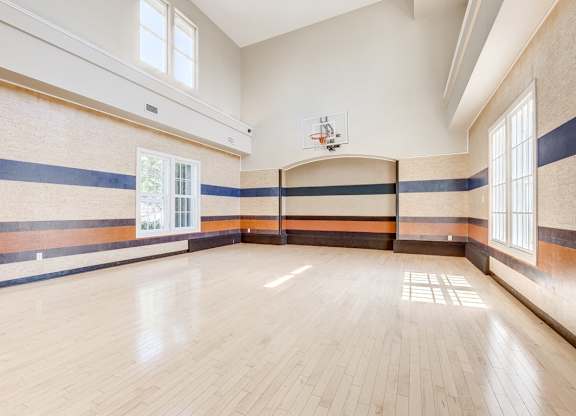 Basketball Court