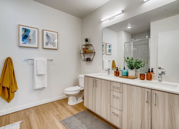 a bathroom with a toilet and a sink and a mirror