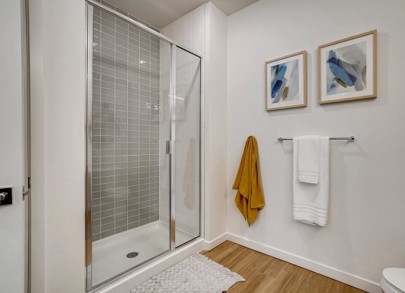 a bathroom with a shower and two pictures on the wall