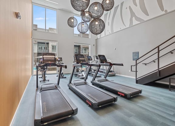 a gym with treadmills and a row of windows