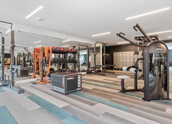 Fitness Gym