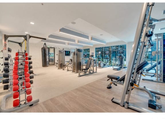 a gym with cardio equipment and weights on the floor