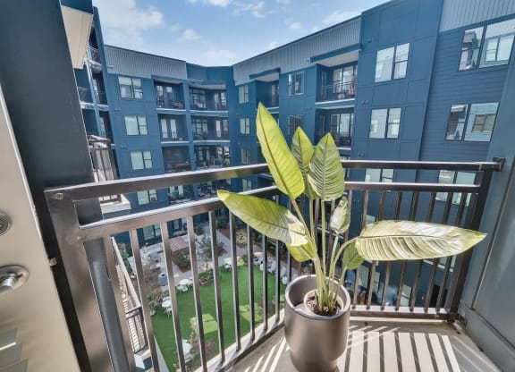 a potted plant on the balcony of an apartment building