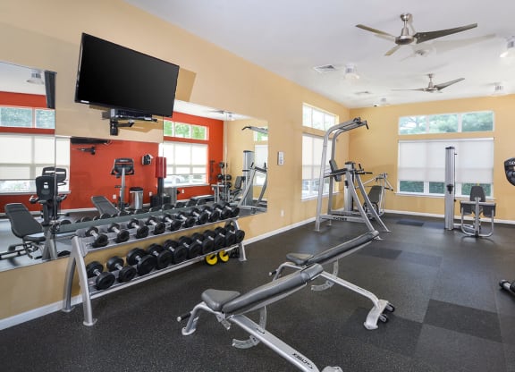 a gym with weights and a tv