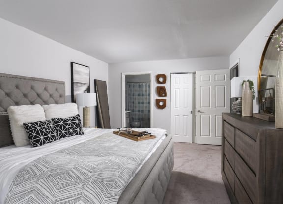 a bedroom with a bed and a dresser and a closet