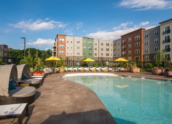 the swimming pool at the grove resort  spa