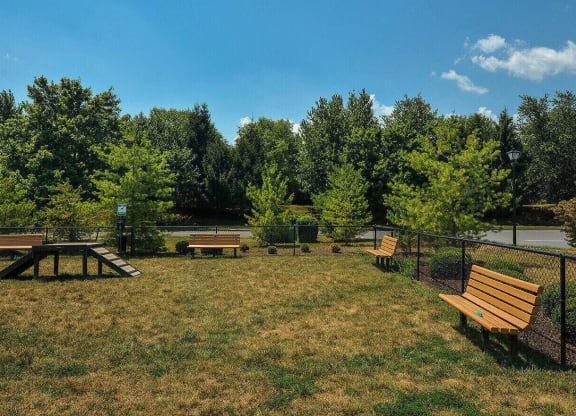 a park with benches and a picnic table
