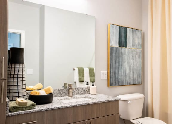 a bathroom with a toilet and a sink and a mirror