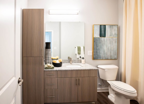 a bathroom with a toilet and a sink and a mirror