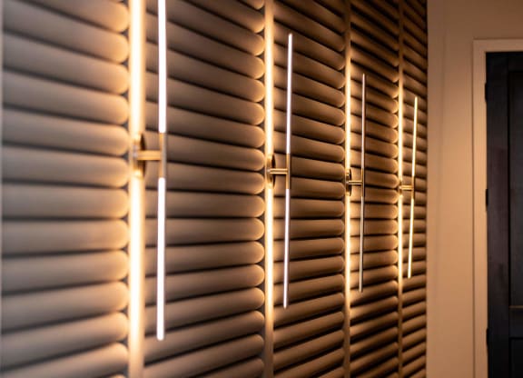 the light shining through the shutters of a window