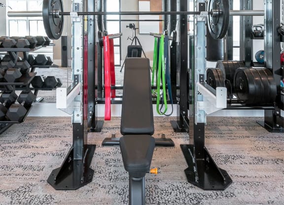 a gym with weights and cardio equipment in a home gym