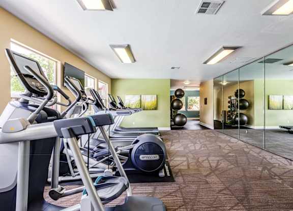 A gym with treadmills, exercise balls, and mirrors.