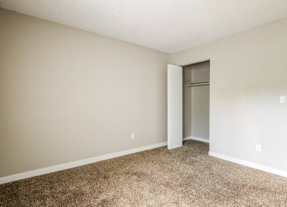 A room with a carpeted floor and a closet with a door.