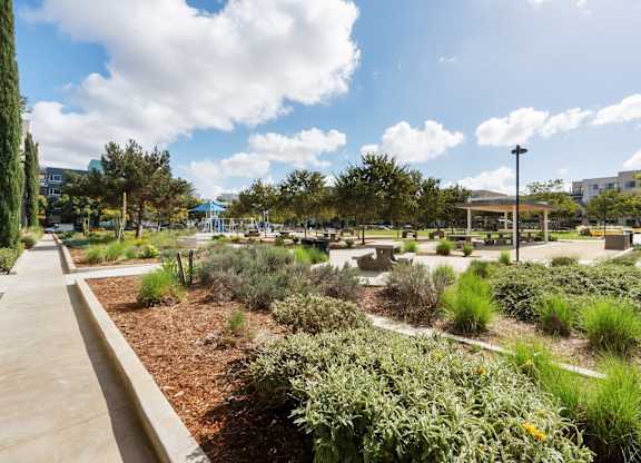 A garden with a variety of plants and a walking path.