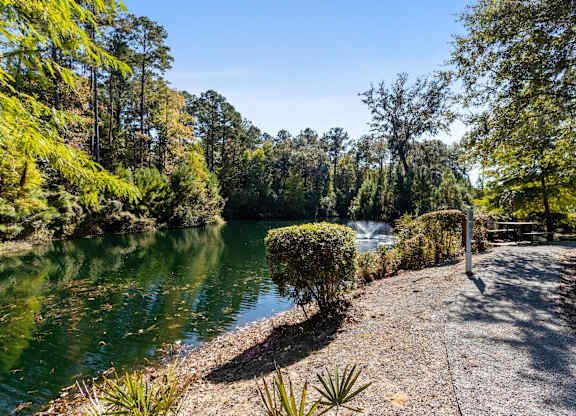 A serene landscape with a body of water surrounded by trees.