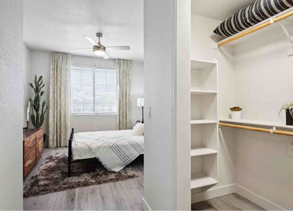 A bedroom with a bed, a ceiling fan, and a shelf with plants.