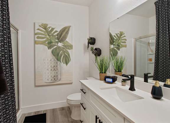 a bathroom with a sink and a mirror and a toilet