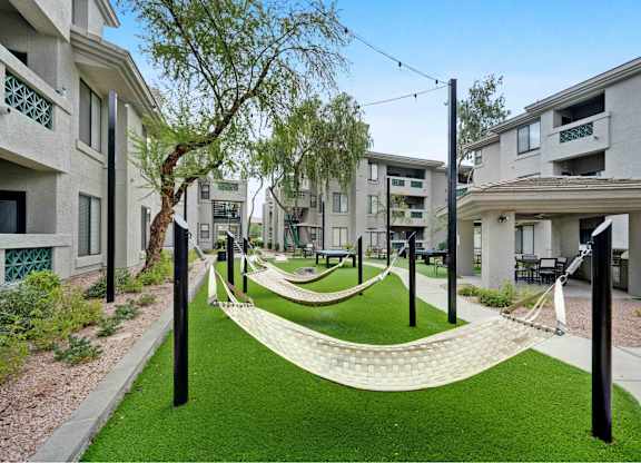 a grassy area with hammocks and trees