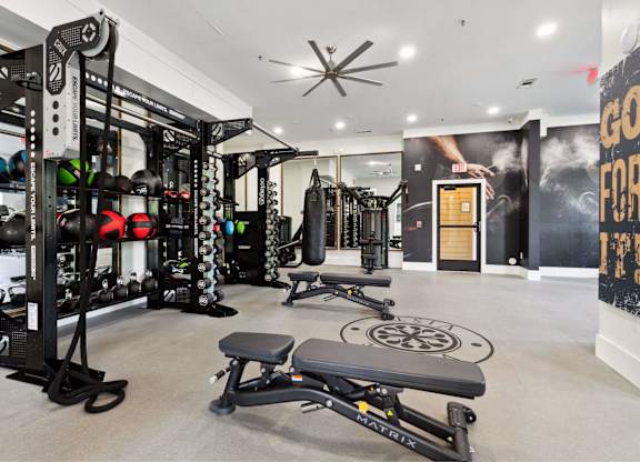 A gym with a variety of equipment including a squat rack, bench, and weights.