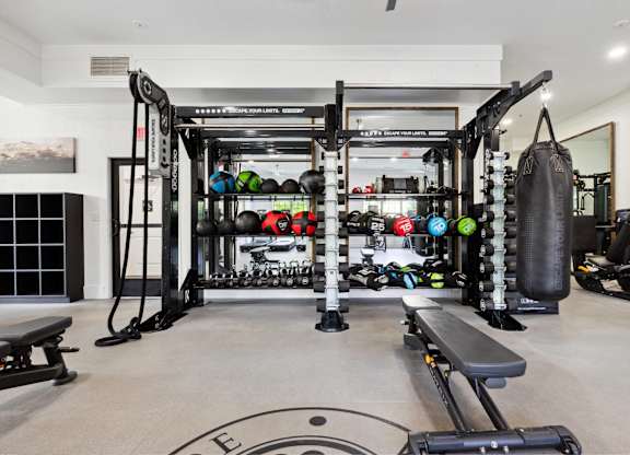 A home gym with a variety of equipment including a squat rack, bench, and weights.