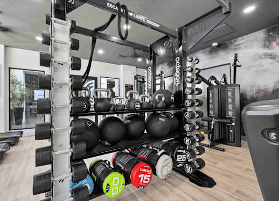 A gym with a variety of equipment including weights and a treadmill.