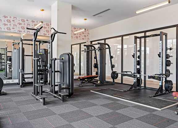 Fitness Center With Modern Equipment at The Hallon Apartments,  Hopkins, MN, 55343
