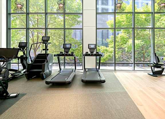 A gym with treadmills, exercise bikes, and other equipment.