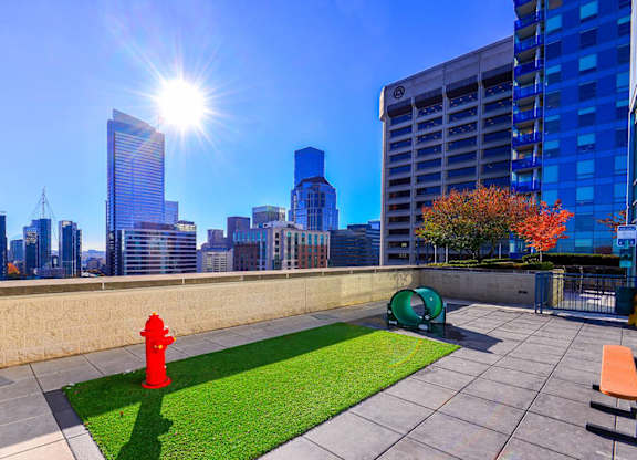 A red fire hydrant sits on a green lawn next to a bench.