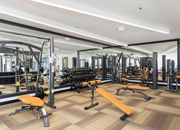 A gym with a variety of equipment including treadmills, weights, and exercise machines.