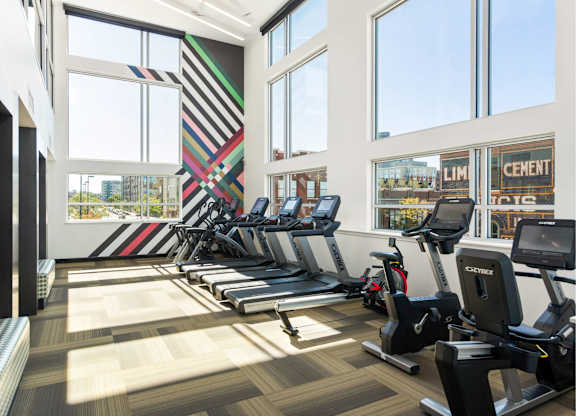A gym with treadmills and exercise bikes.