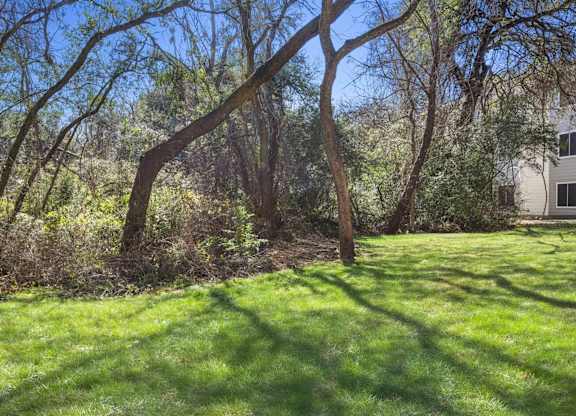 A tree in a yard with a house in the background.