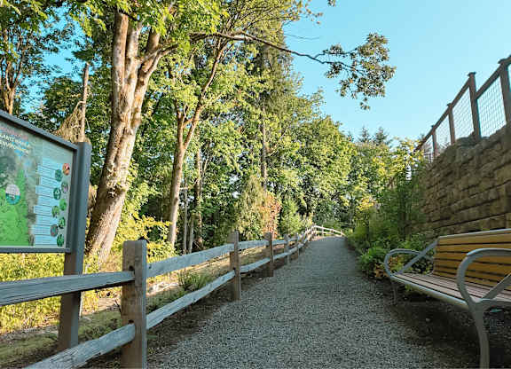 A gravel pathway with a bench and a wooden fence.