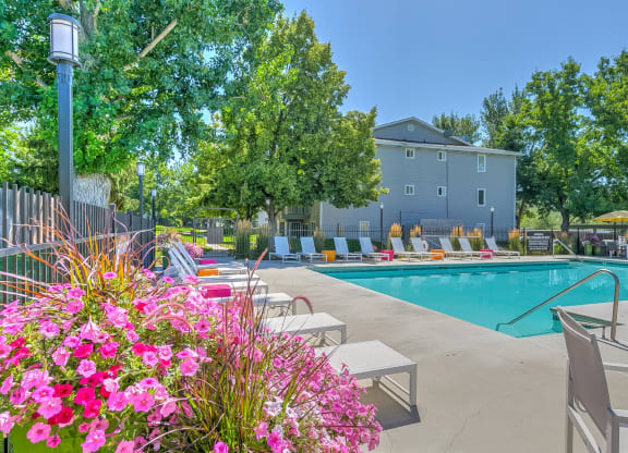 Year-Round Pool
