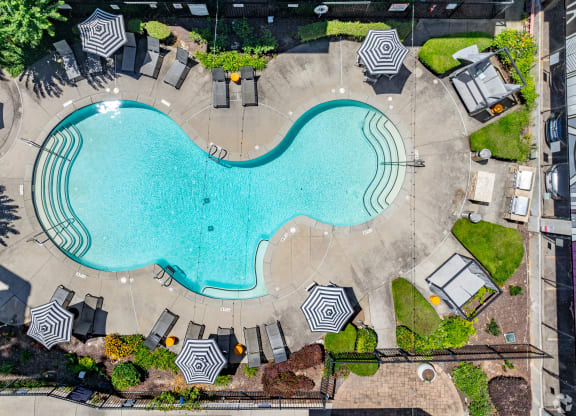 an overhead view of a swimming pool with umbrellas
