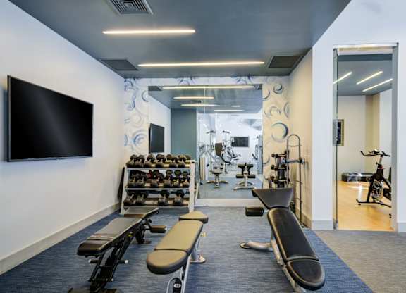 A gym with a variety of equipment including weights, benches, and a television.