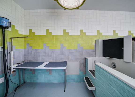 A bathroom with a blue and green tiled wall and a white sink.