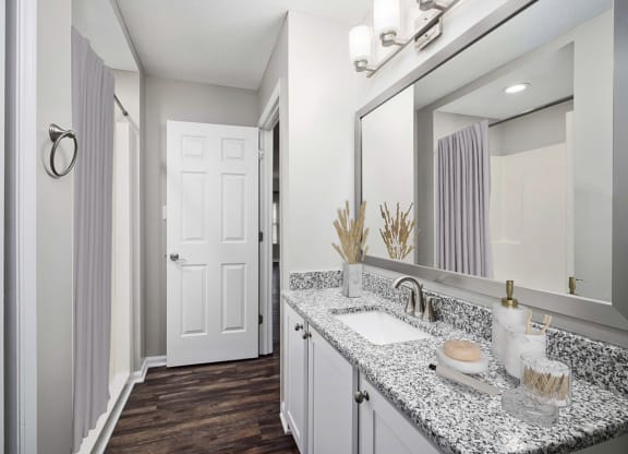 a bathroom with a sink and a mirror