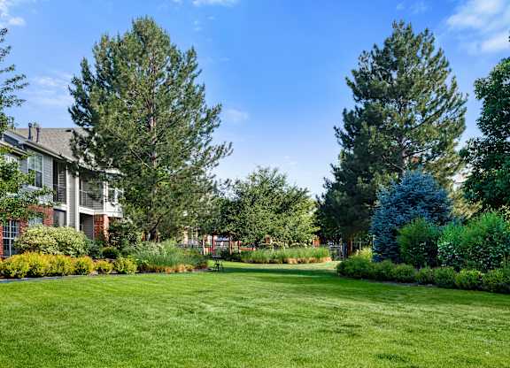 A large grassy area with trees and a building in the background.