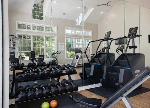 A gym with a treadmill, weights, and windows.