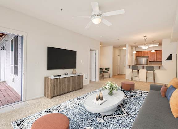 A living room with a television, a sofa, and a rug.