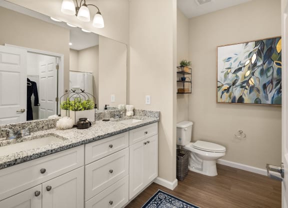 a bathroom with a toilet and a sink and a mirror