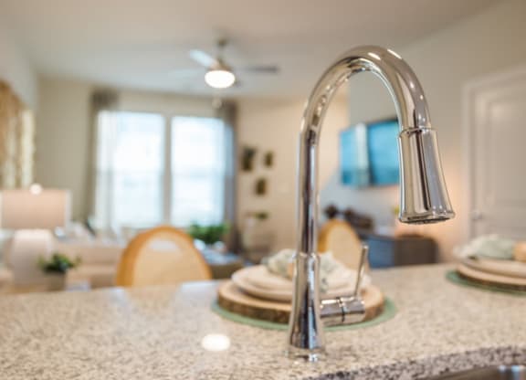 a kitchen sink with a chrome faucet