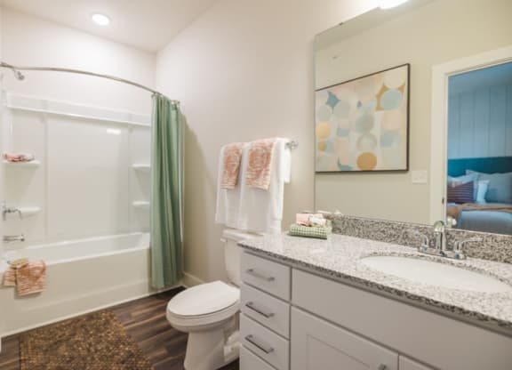 a bathroom with a shower toilet and sink
